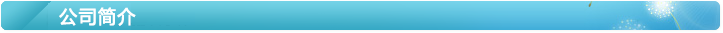 公司簡(jiǎn)介